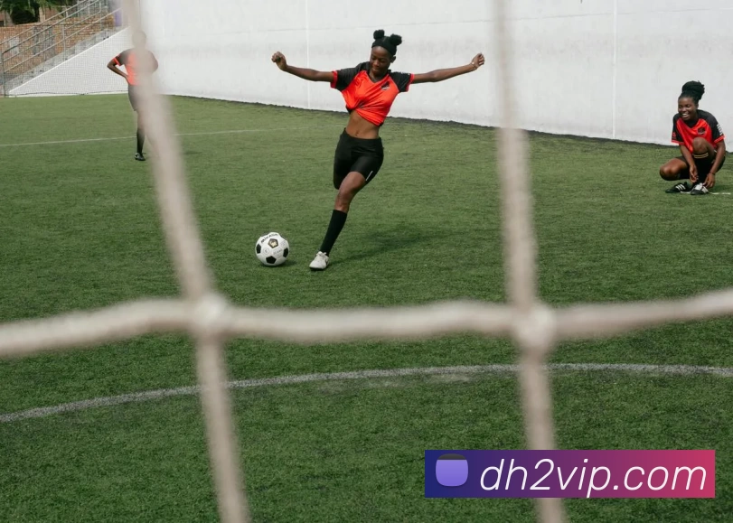 鼎汇2官网全站App