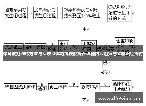 体育散打训练方案与专项身体对抗技能提升课程内容组织与实施路径探讨